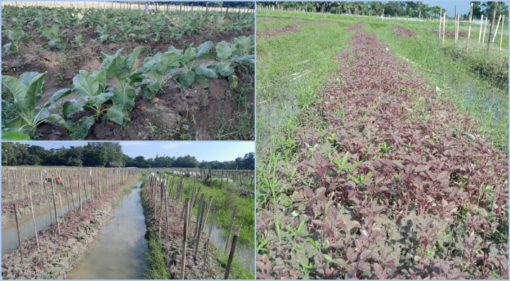 শীতের আগাম সবজি চাষে ব্যস্ত চাষিরা, শঙ্কা ভারী বৃষ্টিপাতের